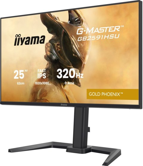 Iiyama G-MASTER GB2591HSU-B1 monitor komputerowy 62,2 cm (24.5") 1920 x 1080 px Full HD LED Czarny