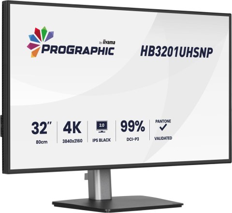 Iiyama ProGraphic HB3201UHSNP-B1 monitor komputerowy 80 cm (31.5") 3840 x 2160 px Czarny