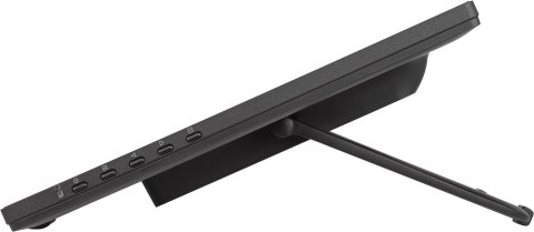 Iiyama T2455MSC-B2 dotykowy panel sterowania 60,5 cm (23.8") 1920 x 1080 px