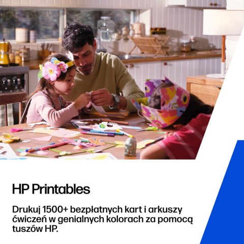 HP 300 zestaw 2 oryginalnych wkładów atramentowych: czarny/trójkolorowy