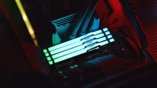 Kingston Technology FURY Beast RGB moduł pamięci 16 GB 1 x 16 GB DDR5 5600 MT/s 288-pin DIMM