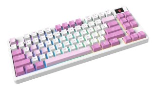 MSI FORGE GK600 TKL WIRELESS VIOLET klawiatura Gaming USB + Bluetooth QWERTY Hiszpański Różowy, Fioletowy, Biały