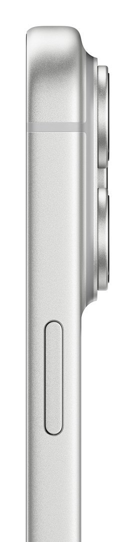 Apple iPhone 17 Pro 16 cm (6.3") Dual SIM iOS 26 5G USB Type-C 256 GB Srebrny