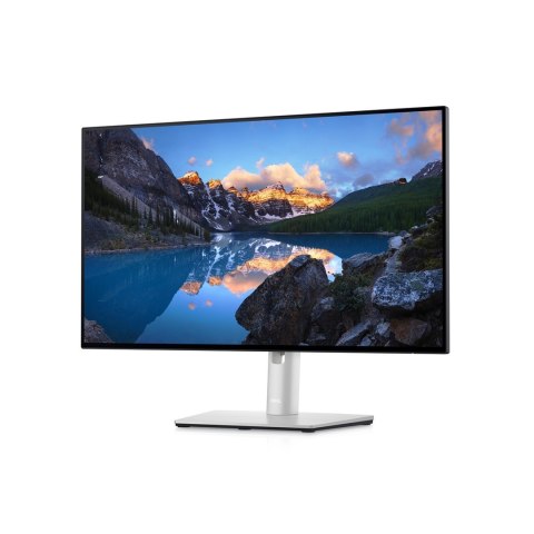 MONITOR DELL LED 23,8" U2422HE