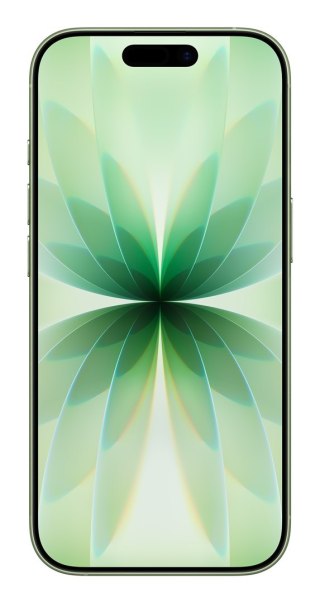 Apple iPhone 17 16 cm (6.3") Dual SIM iOS 26 5G USB Type-C 256 GB Szałwia