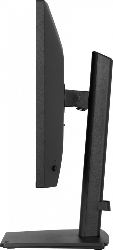 Monitor 23.8 cala XB2491HS-B1 IPS,HDMI,DP,1ms,350cd, 1500:1,120Hz,2x2W,HAS150 (PIVOT)