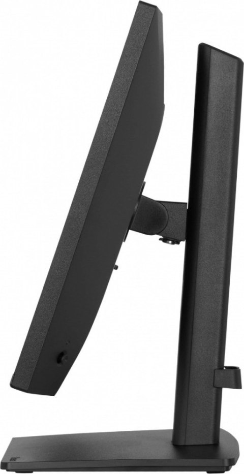 Monitor 24 cale XB2491H-B1 IPS, HDMI, DP, 1ms, 350cd, 1500:1, 120Hz, HAS150 (PIVOT)